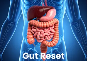 Gut Reset