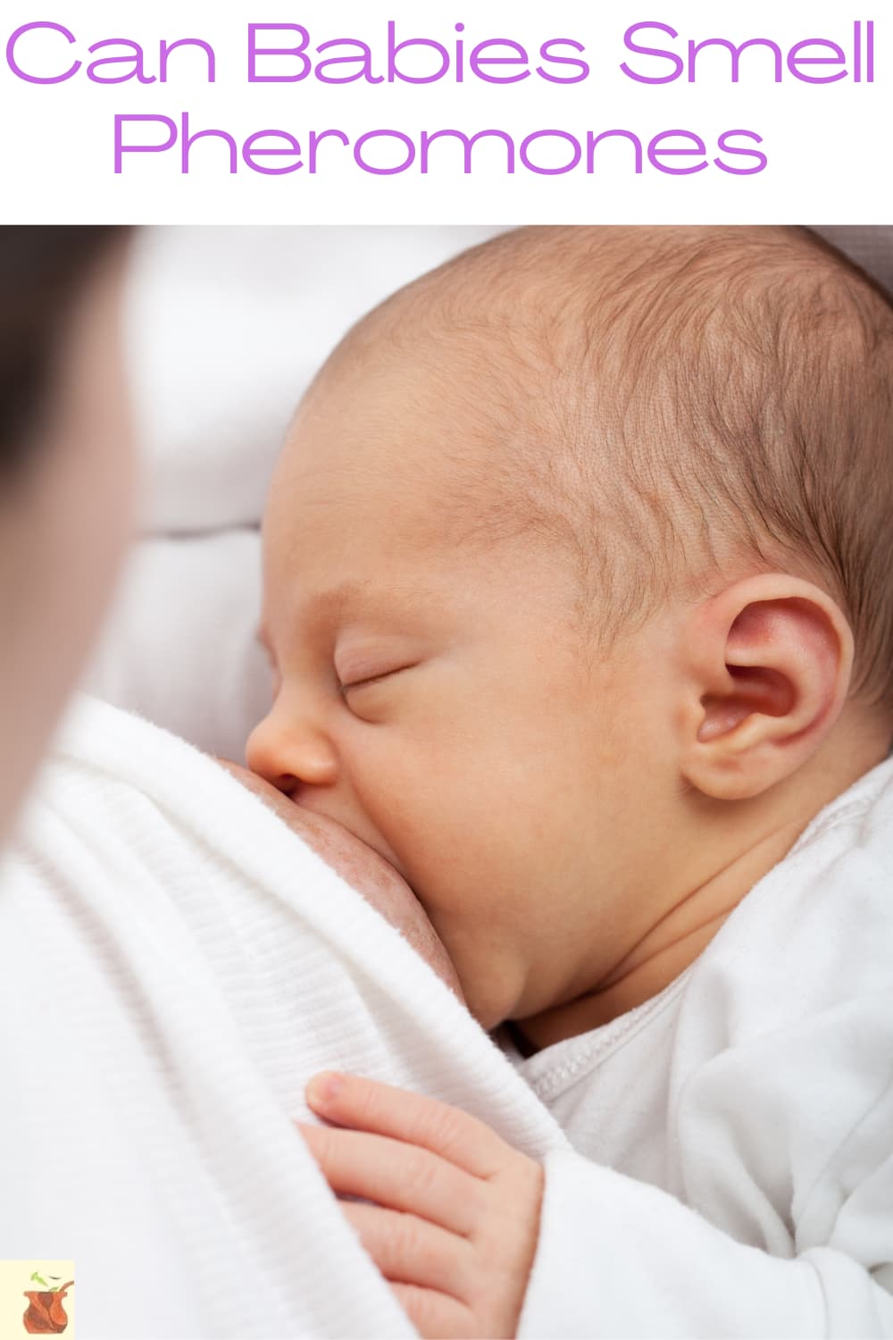 How Scents Modulate the behavior of Babies Babies And Pheromones