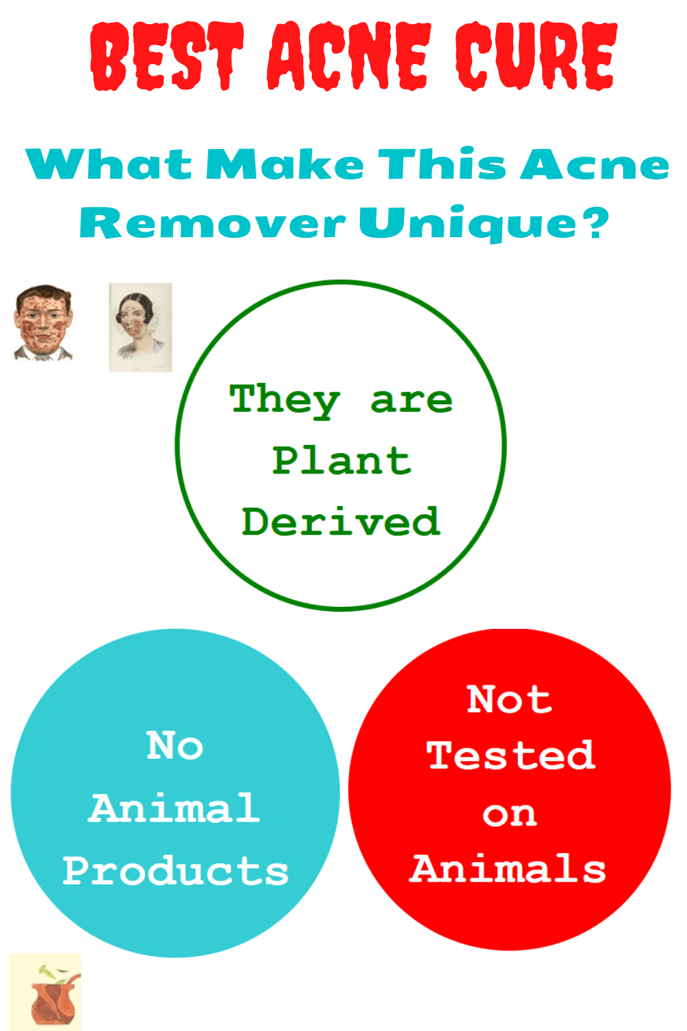 Best acne cure for a smooth acne free skin