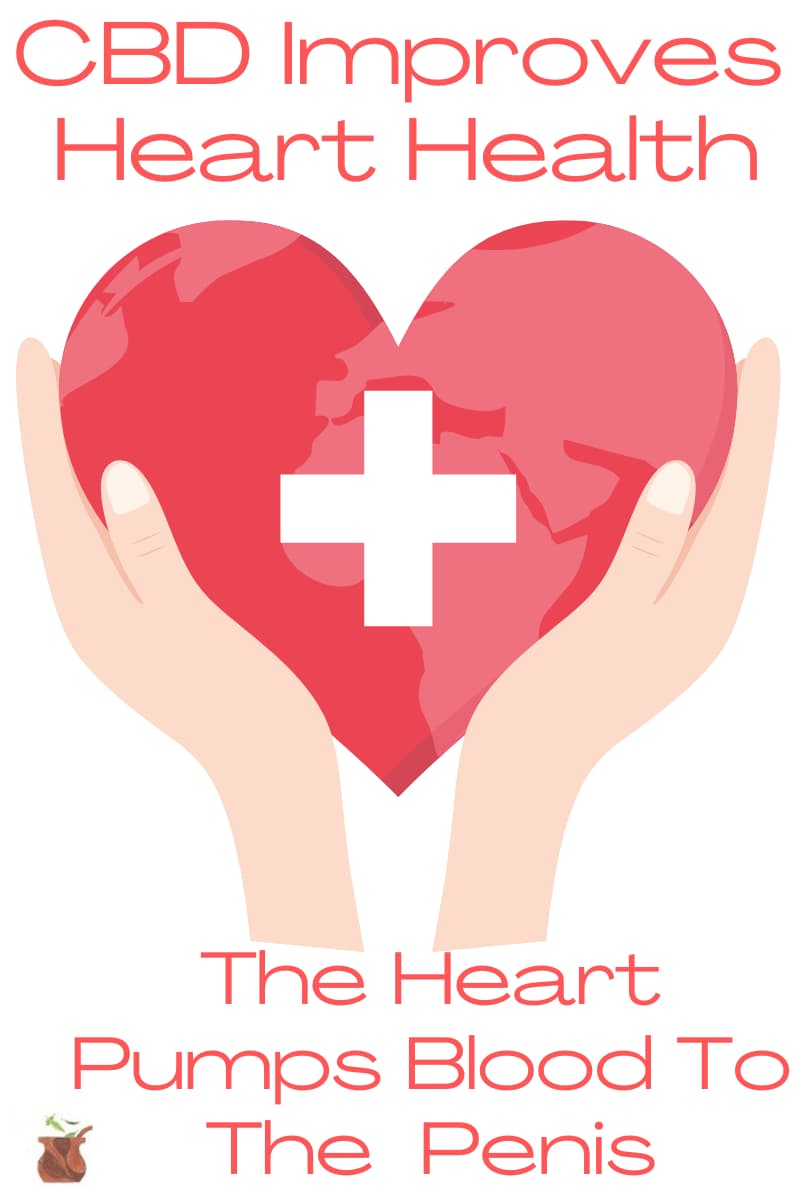 CBD For Heart Health