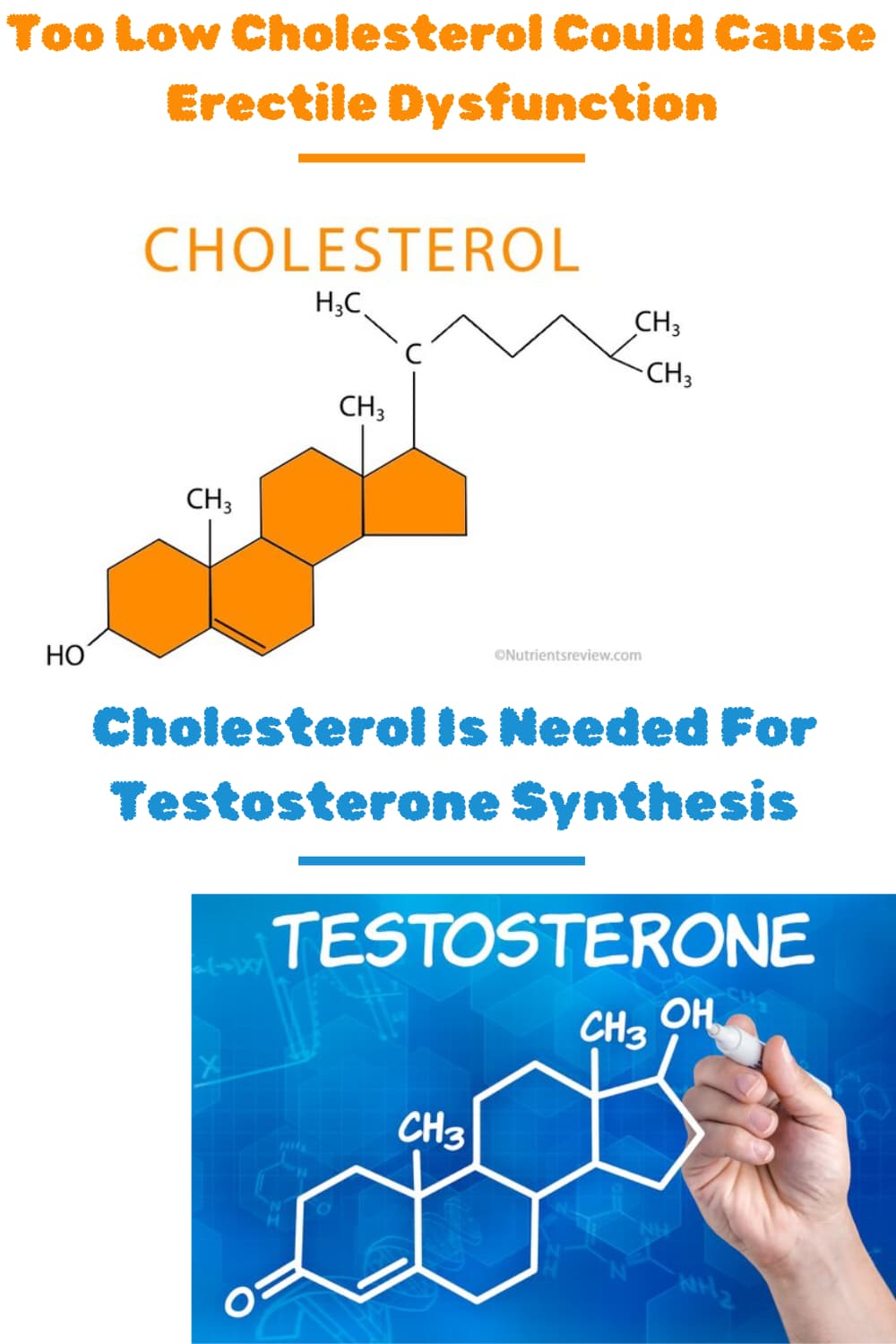 Cholesterol Testosterone Connection