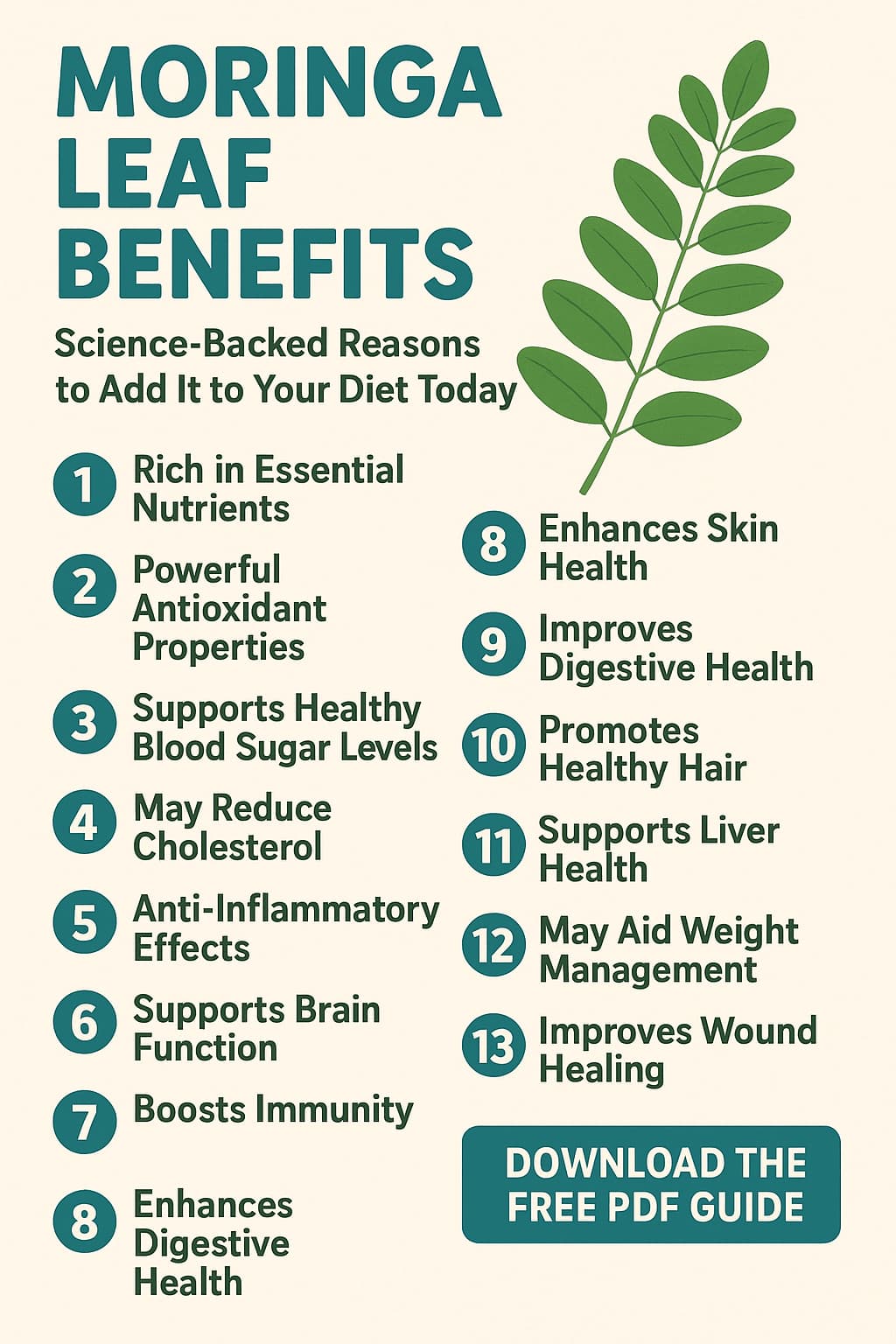 13 Amazing Health Benefits Of Moringa Leaf