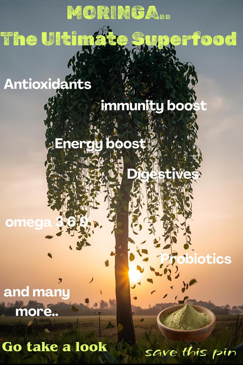 Moringa Amazing Healing Power