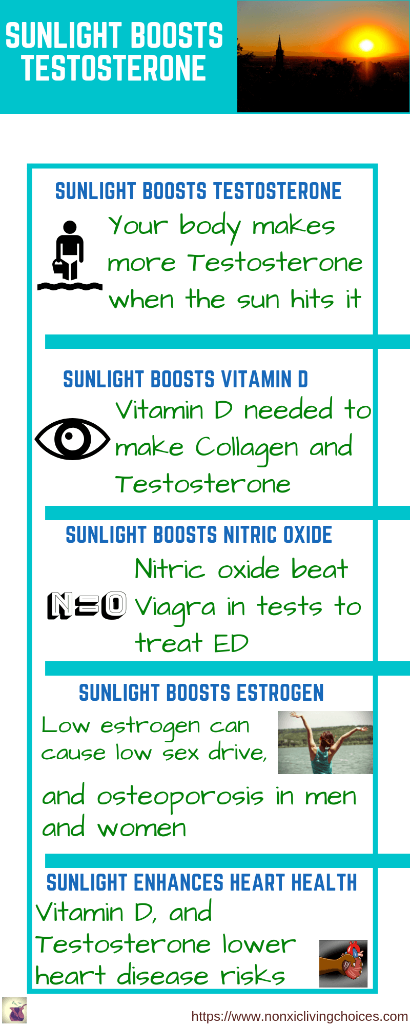 How sunlight boosts testosterone and increases nitric oxide