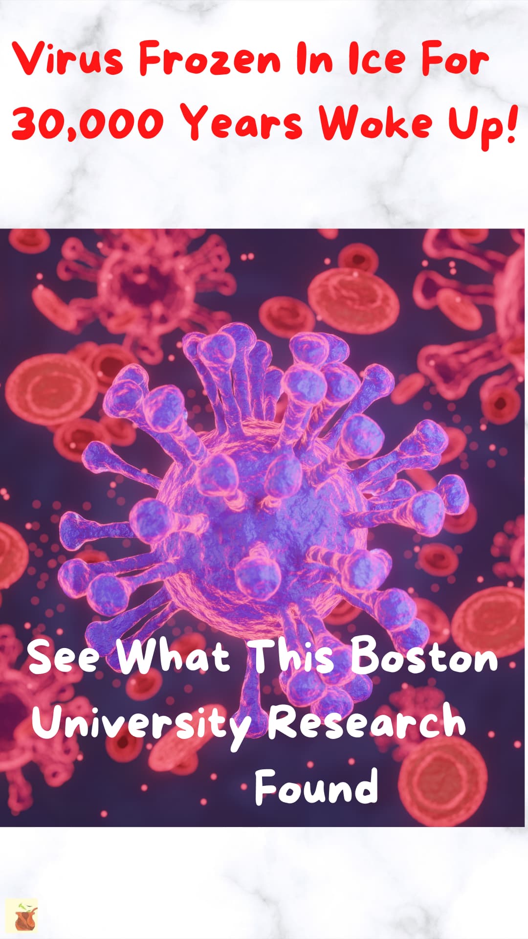 Boston University research found that Vitamin D reduces your risk of Covid-19 by 54%!