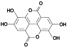 Ellagic acid detox is the best full spectrum body detofication product. Rid yourself of parasites, heavy metals and other toxins