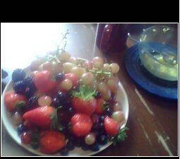 nontoxic choices in nutrition