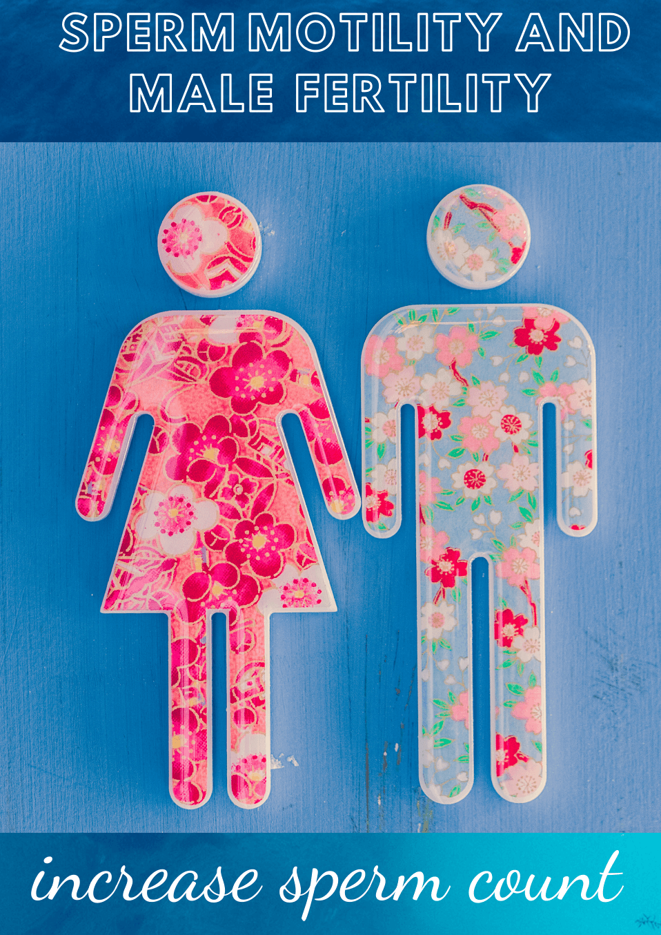 Increase sperm volume and sperm motility