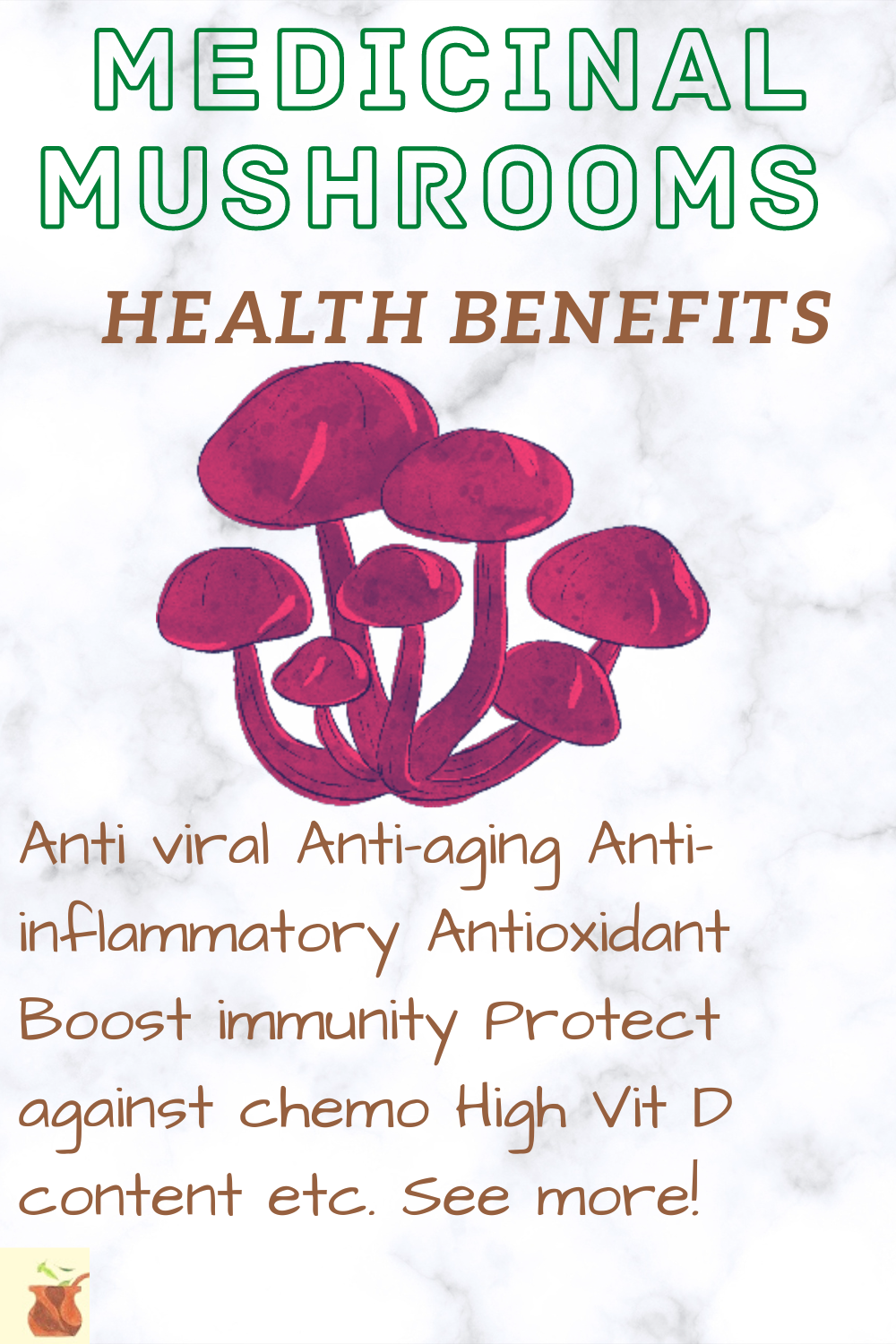 Health benefits of medicinal mushroom supplements Mushroom immune booster and body defense complex