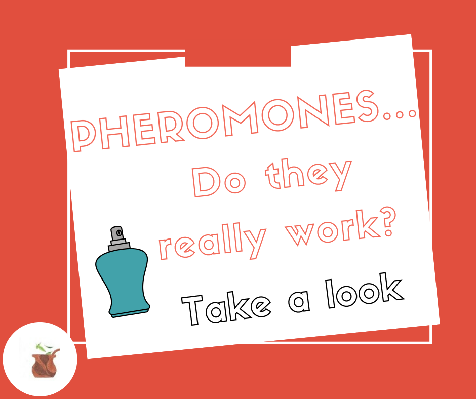 Pheromone Cologne to Arouse The Interest Of Potential Lovers Do Pheromones Really Work To Attract Romantic Interest