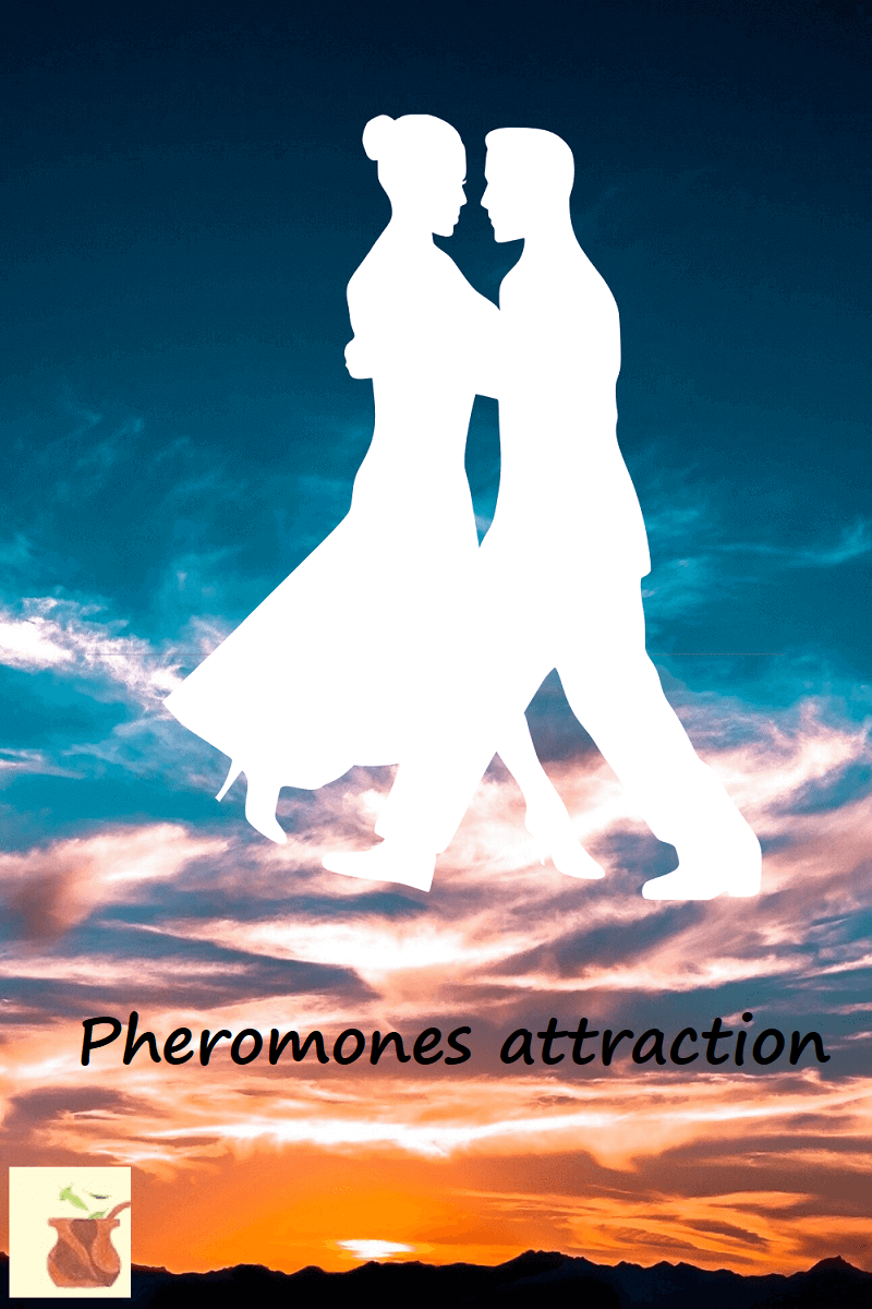 Use Pheromones Subtle Attraction Power To Increase Your
