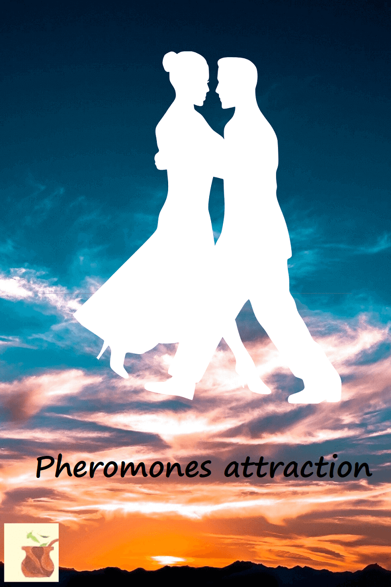 Pheromone Perfume for men To Get Lucky with women