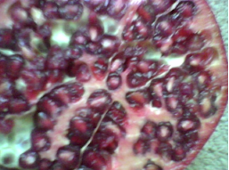 Pomegranate one of the sources of nitric oxide