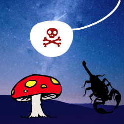 anti aging skin care products