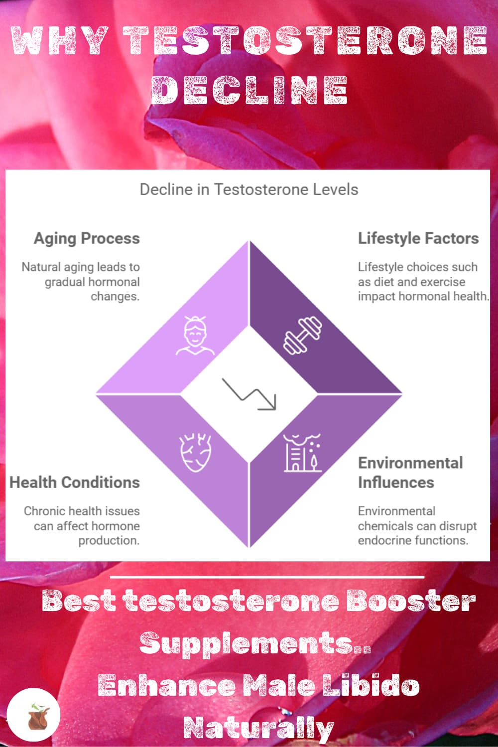 How To Increase Testosterone